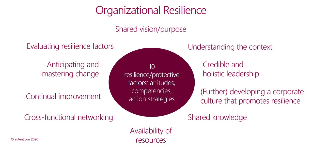 Factors of Organizational Resilience_en